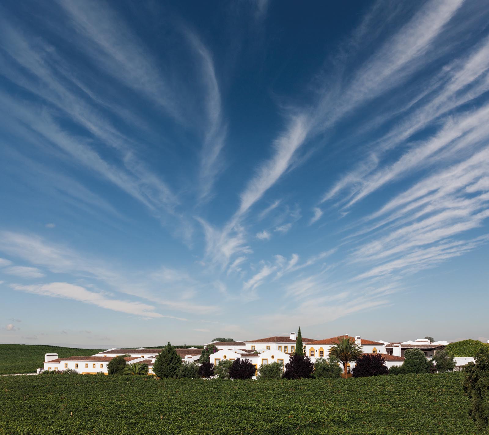 Adega João Portugal Ramos